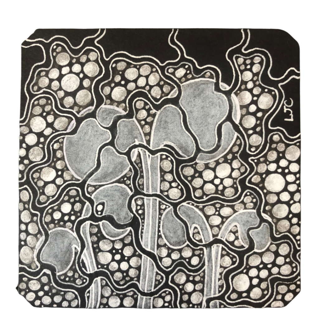 A black tile featuring the tile Mooka and Tipple, with Pangea as a reticula, drawn by Lisa Crow CZT, Lisa is a Certified Zentangle Teacher based in Glasgow and is the owner of Wee Crafty Crow. The tile is based on one created in Project Pack 16 Day 9